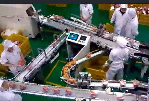 當輸送帶出現(xiàn)跑偏后，怎么辦？