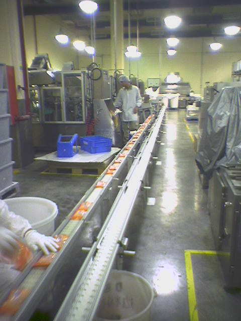 模塊化設(shè)計柔性鏈板輸送系統(tǒng) 模塊化設(shè)計柔性鏈板輸送系統(tǒng)